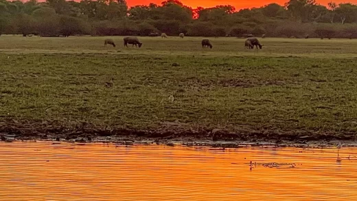 Kakadu National Park pass