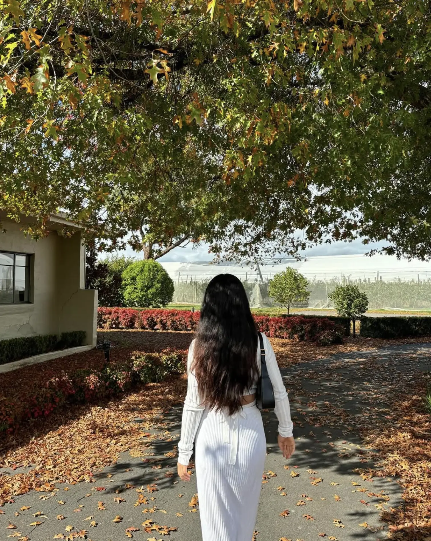 Day trips from Melbourne