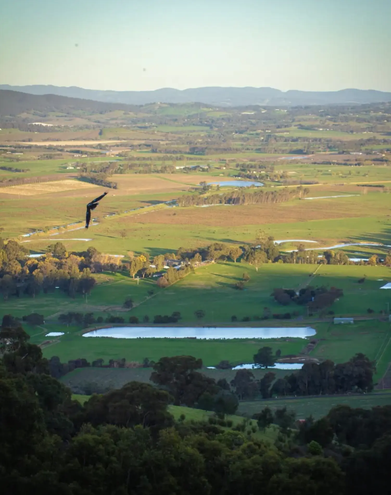 Warburton Victoria
